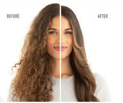 الاستشوار الدوار 2 في1-أسود